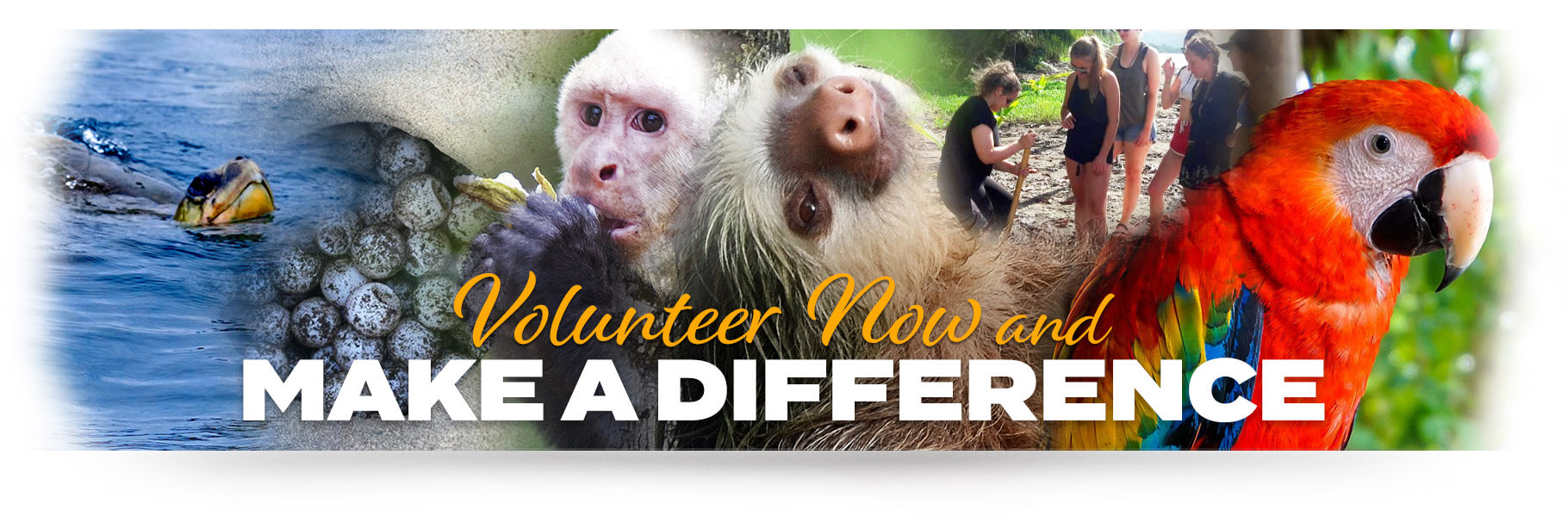 Volunteer now and make a difference